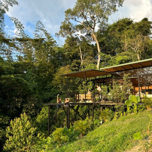 Vestrip chalet